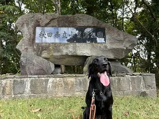 公園散歩。