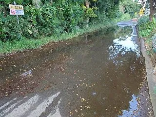 藤崎・鷺沼台地域、藤崎森林公園の湧水･･…