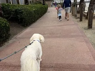 美味しい中華
