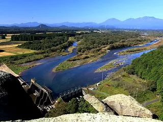 佐貫観音様で、🐦ハヤブサと🌼貴重なお花と…