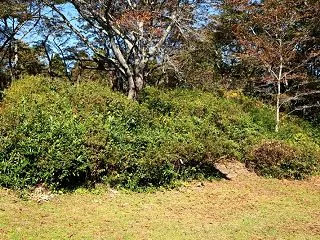 磐城浅川 浅川城 その１