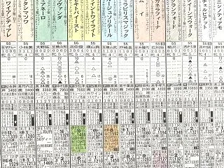 アイルランドトロフィー 予想