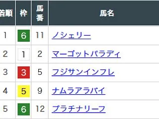 サウジアラビアRCの結果と、アイルランド…
