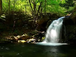 🍂小さな秋色を拾い集めた栃木県民の森！