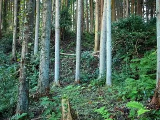 磐城浅川 三城館
