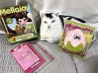 姪っこへのプレゼント