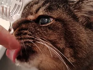 直接の方が良くね？