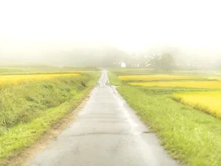 稲路