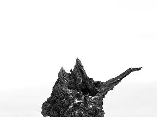 相原正明 写真展 Earthrait L…
