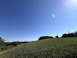 [2026/10/11] 10月の日焼け…