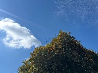 クリニックは2連休です☆私の休日♪