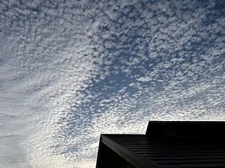 20261012(月) 鱗雲