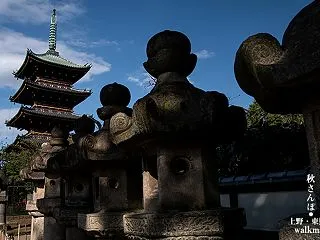 五重塔の下で。