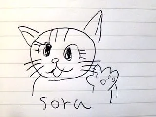 そらちゃん
