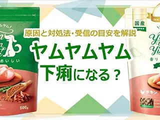 ヤムヤムヤムで下痢になる？原因と対処法・…