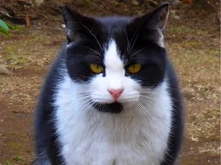 アゴの異変①