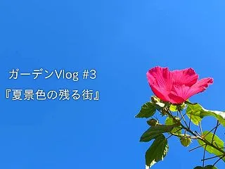 個人サイトでVlogを投稿したらなんか満…