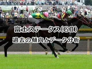 富士ステークス予想｜過去の傾向とデータ分…