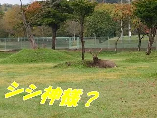 もののけ公園？