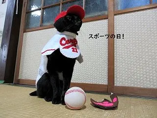 ２０２６年、スポーツの日