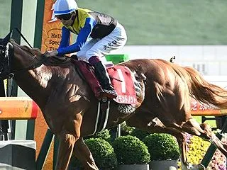 秋華賞&富士S2026予想【スワ…