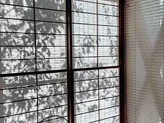 スダレ越しに。。。紅梅の影を障子に