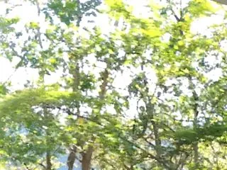 フォーカスできない日