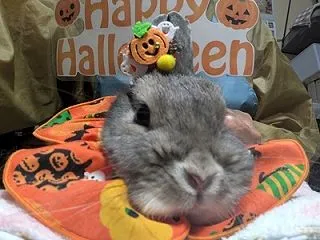 連休最終日もさわやか