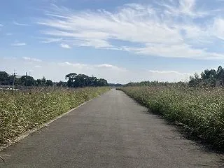 越辺川周辺を歩いてみた