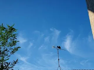 お礼〈８月〉
