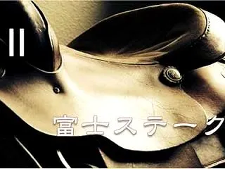 2026 富士ステークス 過去10年デー…