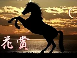 2026 菊花賞 過去10年データ・傾向…