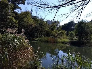 20261011 目黒にて