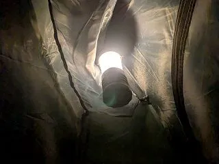 庭で寝る