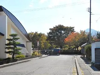 杖を持って暫くぶりの散歩です。