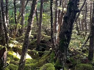 足が悲鳴！あげてしまいました。