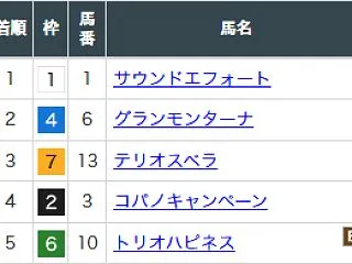 アイルランドTの結果と、スワンSの予想！