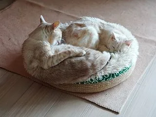 お水は透明だから。
