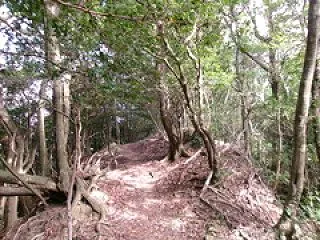 登山・・・大野城周遊（大城山～音楽堂～大…