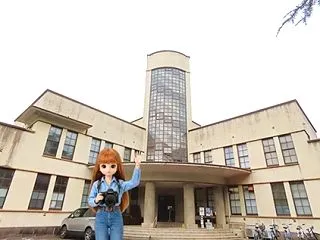 オオタカの幼鳥さんです♪