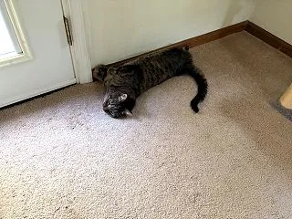 見られて満足