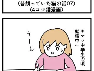 邪魔しないでね (昔飼っていた猫の話07…