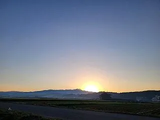 ニンニク植え付け