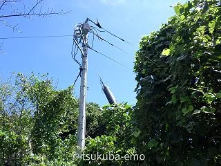 支線つる草防止【アイビーガードオートロッ…