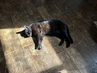 秋も落ちる