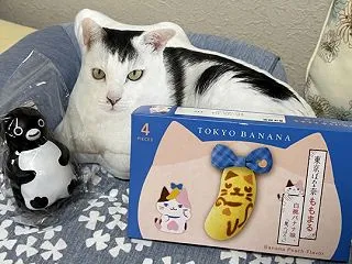 東京のお土産