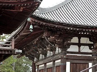境内から〜唐招提寺 -奈良2025-