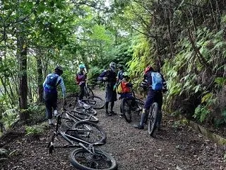 MTB37