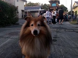 CT検査結果