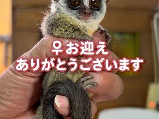 お迎えありがとうございました